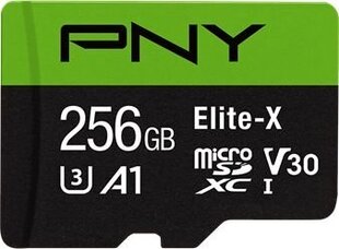 PNY P-SDU256U3100EX-GE цена и информация | Карты памяти для телефонов | kaup24.ee