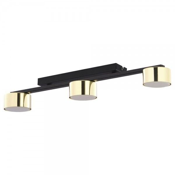 Laevalgusti TK Lighting Dallas gold 6091 цена и информация | Laelambid | kaup24.ee