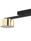 Laevalgusti TK Lighting Dallas gold 6091 цена и информация | Laelambid | kaup24.ee