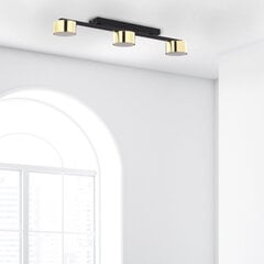 Laevalgusti TK Lighting Dallas gold 6091 цена и информация | Потолочные светильники | kaup24.ee