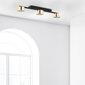 Laevalgusti TK Lighting Dallas gold 6091 цена и информация | Laelambid | kaup24.ee