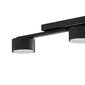 Laevalgusti TK Lighting Dallas 6243 hind ja info | Laelambid | kaup24.ee