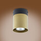 Laevalgusti TK Lighting Vico gold 6508 цена и информация | Laelambid | kaup24.ee