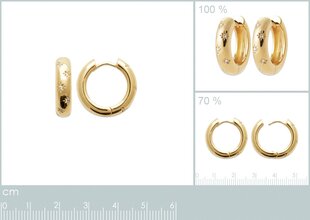 750° kullaga kaetud kõrvarõngad, ⌀ 14 mm, toodetud Prantsusmaal hind ja info | Kõrvarõngad | kaup24.ee