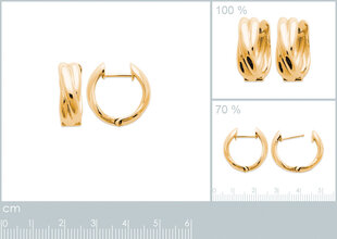 750° kullaga kaetud kõrvarõngad, ⌀ 15 mm, toodetud Prantsusmaal hind ja info | Kõrvarõngad | kaup24.ee