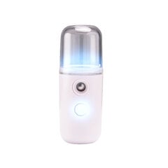 Nano mist hind ja info | Näohooldusseadmed | kaup24.ee