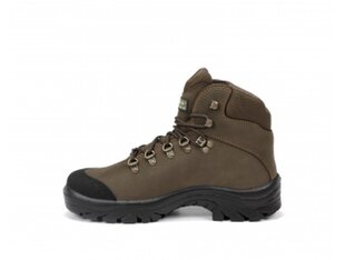 Ботинки Chiruca Pointer Force 21 Gore-Tex цена и информация | Мужские ботинки | kaup24.ee