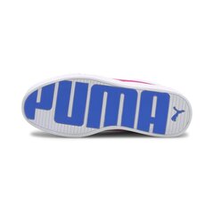 Meeste kingad Puma Skye Demi 38074903 цена и информация | Кроссовки для мужчин | kaup24.ee