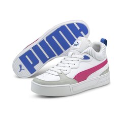 Meeste kingad Puma Skye Demi 38074903 цена и информация | Кроссовки для мужчин | kaup24.ee