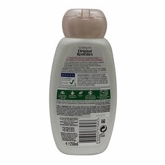 Niisutav šampoon Garnier Original Remedies Delicatesse Kaerahelbe (250 ml) hind ja info | Šampoonid | kaup24.ee