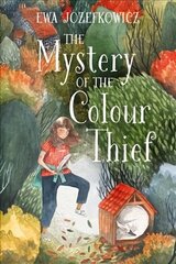 Mystery of the Colour Thief цена и информация | Книги для подростков и молодежи | kaup24.ee