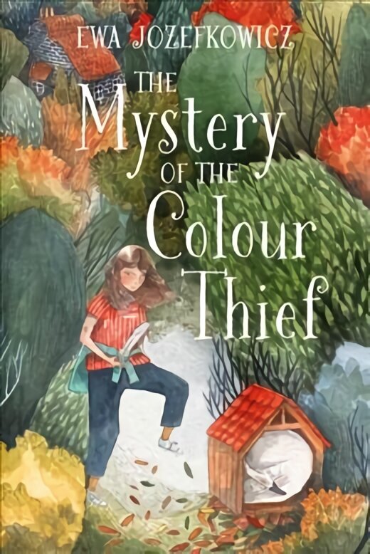 Mystery of the Colour Thief цена и информация | Noortekirjandus | kaup24.ee