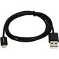 CANYON CFI-1 Lightning USB Cable for Apple - 1m цена и информация | Mobiiltelefonide kaablid | kaup24.ee