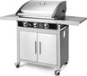 Gaasigrill Fieldmann FZG 3005, 112x56x122 cm hind ja info | Grillid | kaup24.ee