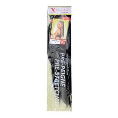 Мел для прядей Pre-Peigne X-Pression Nº 1 (1X2) цена и информация | Аксессуары для волос | kaup24.ee