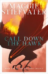 Call Down the Hawk: The Dreamer Trilogy #1 цена и информация | Книги для подростков и молодежи | kaup24.ee