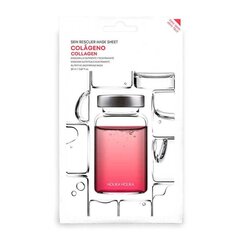 Näomask Holika Holika Skin Rescue Collagen (20 ml) hind ja info | Näomaskid, silmamaskid | kaup24.ee