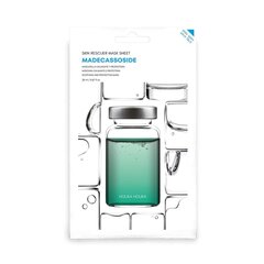 Маска для лица Holika Holika Skin Rescuer Madecassoside (20 ml) цена и информация | Маски для лица, патчи для глаз | kaup24.ee