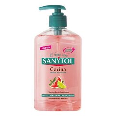 Käteseebijaotur Antibacterias Kitchen Sanytol (250 ml) цена и информация | Мыло | kaup24.ee