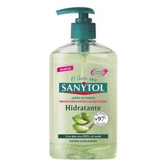 Жидкое мыло с дозатором Antibacterias Sanytol (250 мл) цена и информация | Мыло | kaup24.ee