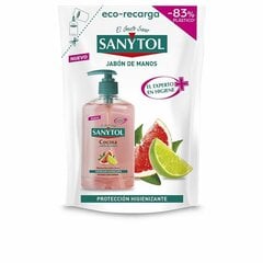 Жидкое мыло с дозатором и запасом Sanytol (200 мл) цена и информация | Мыло | kaup24.ee