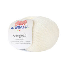 Kudumislõng Adriafil Avantgarde 50 g, värvi 11 hind ja info | Kudumistarvikud | kaup24.ee