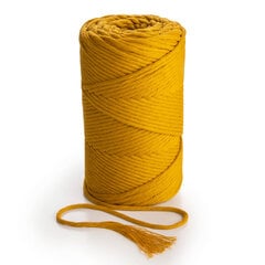 Macrame puuvillane pael, sinepivärv, 3mm 280m, 1kg цена и информация | Принадлежности для вязания крючком | kaup24.ee