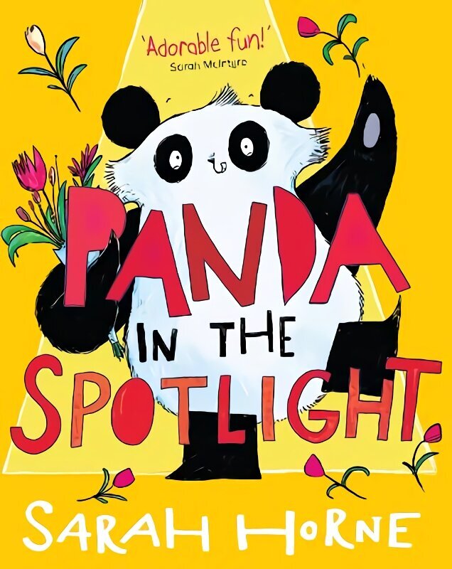 Panda in the Spotlight hind ja info | Noortekirjandus | kaup24.ee