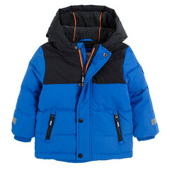 Cool Club куртка для мальчиков, COB2501774 цена и информация | Зимняя одежда для детей | kaup24.ee