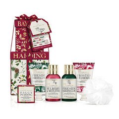 Vannipallide komplekt Baylis & Harding The Fuzzy Duck Winter Wonderland hind ja info | Kehakreemid, losjoonid | kaup24.ee