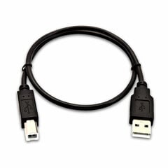 V7 V7USB2AB-50C-1E hind ja info | Mobiiltelefonide kaablid | kaup24.ee