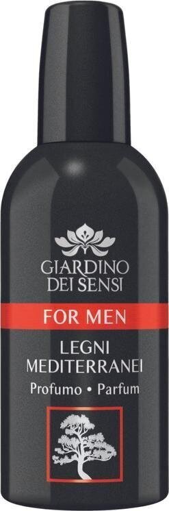 Parfüümvesi Giardino Dei Sensi Legni Mediterranei EDP meestele 100 ml hind ja info | Meeste parfüümid | kaup24.ee