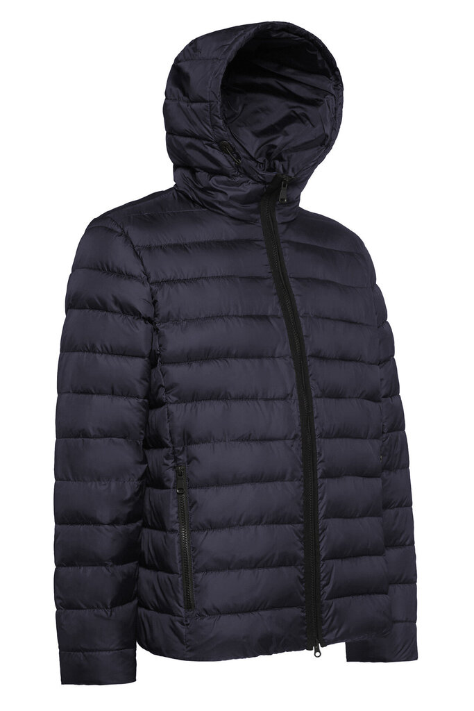 Meeste jope Geox Dennie Hood JKT hind ja info | Meeste joped | kaup24.ee