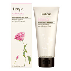 Увлажняющая маска для лица для сухой и обезвоженной кожи Jurlique Rose Moisture Plus, 100 мл цена и информация | Маски для лица, патчи для глаз | kaup24.ee