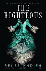 Righteous цена и информация | Книги для подростков и молодежи | kaup24.ee