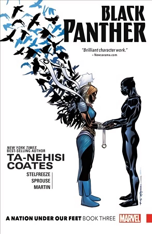 Black Panther: A Nation Under Our Feet Book 3, 3 цена и информация | Fantaasia, müstika | kaup24.ee