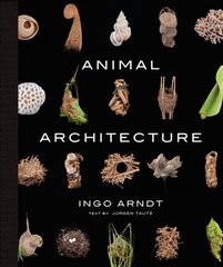 Animal Architecture цена и информация | Книги о питании и здоровом образе жизни | kaup24.ee