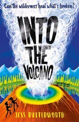 Into the Volcano hind ja info | Noortekirjandus | kaup24.ee