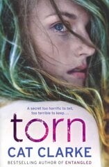 Torn: From a Zoella Book Club 2017 author hind ja info | Noortekirjandus | kaup24.ee