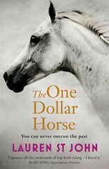 One Dollar Horse: Book 1, Book 1 цена и информация | Книги для подростков и молодежи | kaup24.ee