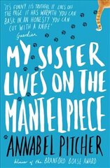 My Sister Lives on the Mantelpiece цена и информация | Книги для подростков и молодежи | kaup24.ee