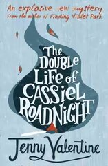 Double Life of Cassiel Roadnight edition цена и информация | Книги для подростков и молодежи | kaup24.ee