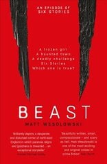 Beast цена и информация | Фантастика, фэнтези | kaup24.ee