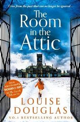 Room in the Attic: The TOP 5 bestselling novel from Louise Douglas цена и информация | Фантастика, фэнтези | kaup24.ee