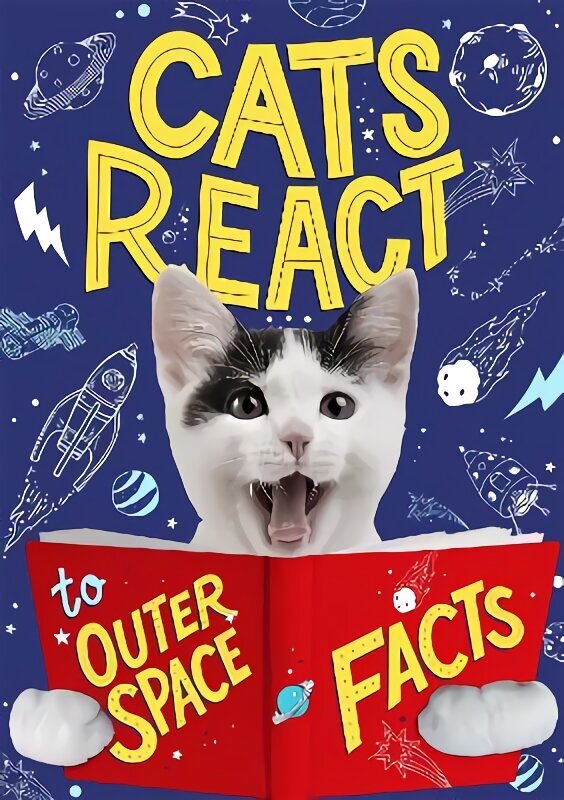 Cats React to Outer Space Facts hind ja info | Noortekirjandus | kaup24.ee