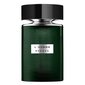 Parfüümvesi Rochas L'homme Aromatic Touch EDT 100 ml hind ja info | Meeste parfüümid | kaup24.ee