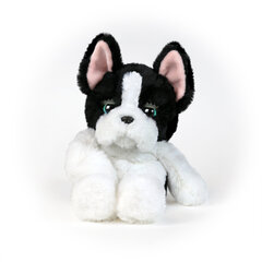 Интерактивный щенок Tucker «My Fuzzy Friends» цена и информация | Мягкие игрушки | kaup24.ee