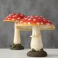 Boltze dekoratiivne figuur Mushroom hind ja info | Sisustuselemendid | kaup24.ee