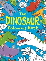 Dinosaur Colouring Book hind ja info | Väikelaste raamatud | kaup24.ee