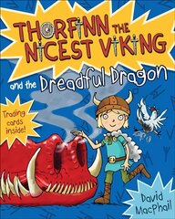 Thorfinn and the Dreadful Dragon цена и информация | Книги для подростков и молодежи | kaup24.ee